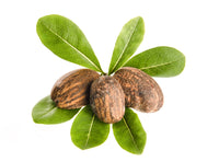 Nisi-skin-rejuvenating-decolletage-oil-body-natural.jpg