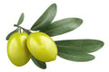 iStock-1165294761.jpg